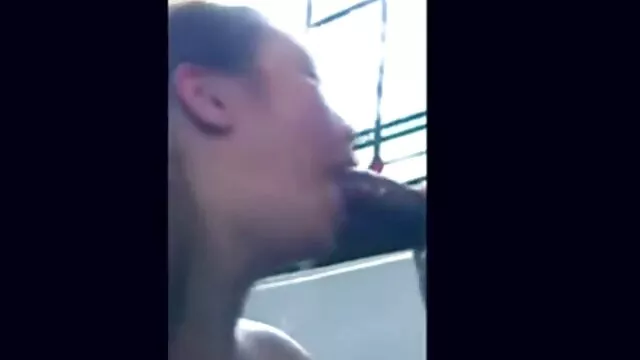 شقراء الملاعين في الحمار ، سيكس عربي اجنبي ويبتلع الديك